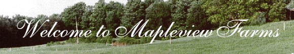 Welcome to Mapleview Farms