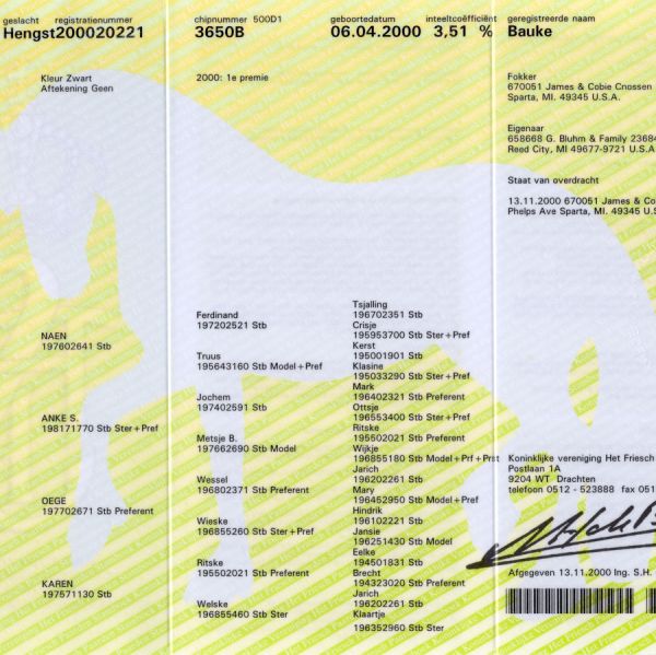Bauke Pedigree