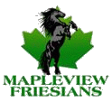 Mapleview Friesians